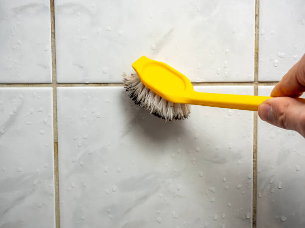  Kings Park West, VA Mold Removal Pros