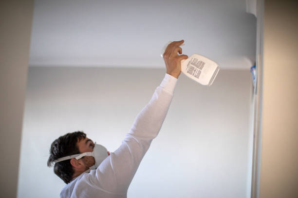 Best Black Mold Removal  in Kings Park West, VA