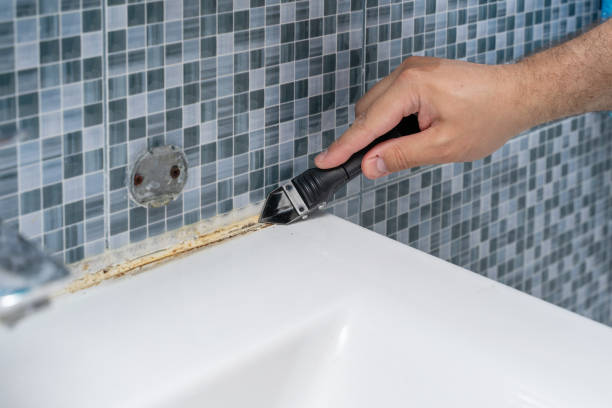 Best Mold Remediation  in Kings Park West, VA